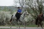 k-IMG 5002