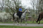 k-IMG 5003