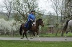 k-IMG 5004