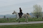 k-IMG 5009