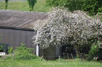 k-IMG 2712