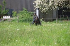 k-IMG 2718