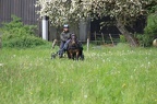k-IMG 2720