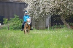 k-IMG 2731