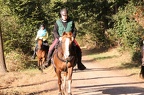 GLDO16IMG 5297