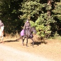GLDO16IMG 5315