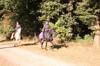 GLDO16IMG 5315