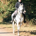 GLDO16IMG 5316