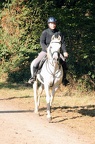 GLDO16IMG 5316