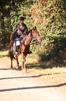 GLDO16IMG 5331