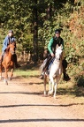 GLDO16IMG 5335