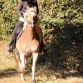 GLDO16IMG 5340