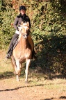 GLDO16IMG 5340