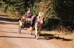 GLDO16IMG 5343