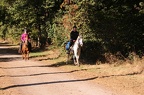 GLDO16IMG 5345