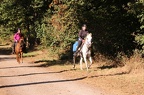 GLDO16IMG 5346