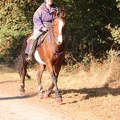 GLDO16IMG 5353