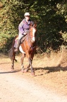 GLDO16IMG 5353