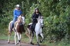 GLDO16IMG 5404