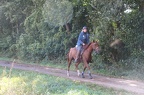 GLDO16IMG 5420