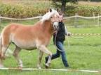 ausrittDSCF6570