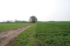 DR 01-04-2017IMG 6871