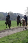 DR 01-04-2017IMG 6886