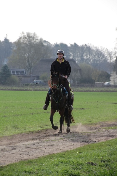 DR 01-04-2017IMG_6894.jpg