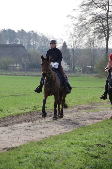 DR 01-04-2017IMG_6897.jpg