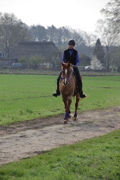 DR 01-04-2017IMG_6899.jpg