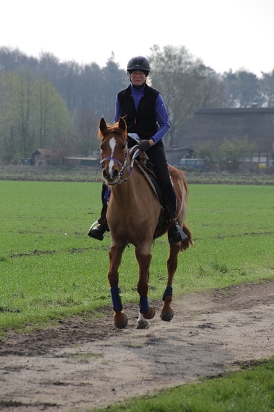 DR 01-04-2017IMG_6901.jpg