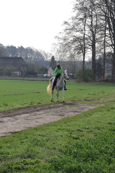 DR 01-04-2017IMG_6903.jpg