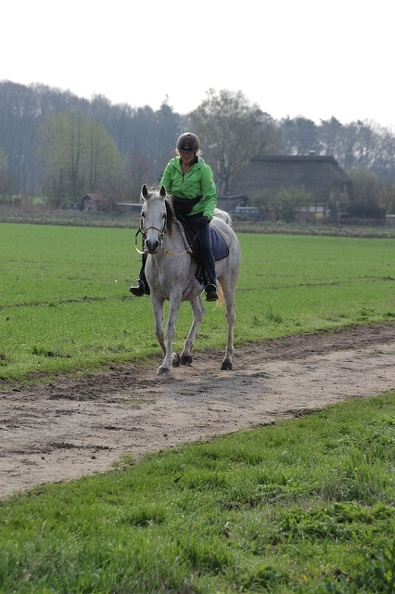 DR 01-04-2017IMG_6905.jpg