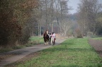 DR 01-04-2017IMG 7077
