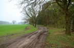 IMG 7168