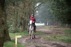 IMG 7179
