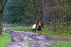 IMG 7191