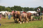 psIMG 9311