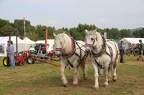 psIMG 9314
