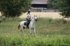 st-au-drIMG 5226