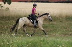 st-au-drIMG 5232