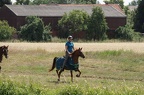 st-au-drIMG 5252
