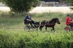 st-au-drIMG 5246