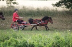 st-au-drIMG 5248